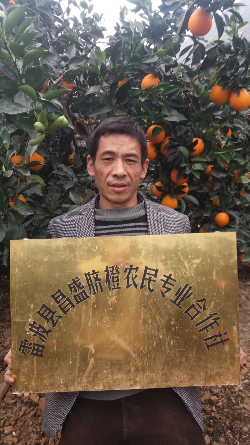 請(qǐng)?zhí)砑訄D片